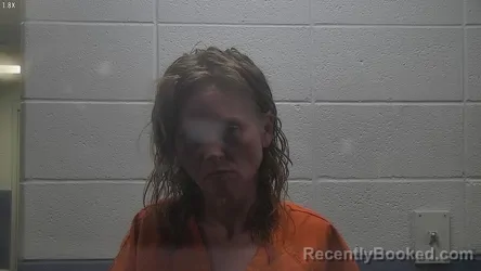 Mugshot of MARY E BOYCE booked in Jessamine County, Kentucky on July 15, 2026