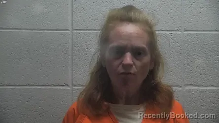 Mugshot of Mary E Boyce booked in Jessamine County, Kentucky on August 8, 2026