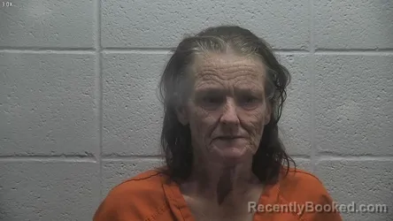 Mugshot of MELISSA G MASTIN booked in Jessamine County, Kentucky on July 2, 2026
