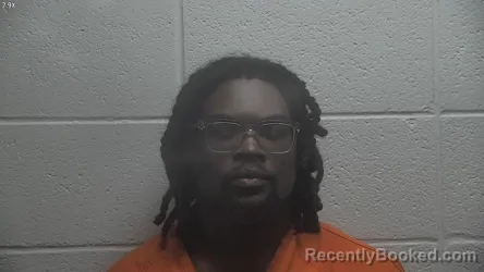 Mugshot of RYAN WALLACE