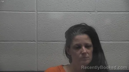 Mugshot of STEPHANIE HIGGINS booked in Jessamine County, Kentucky on March 28, 2026