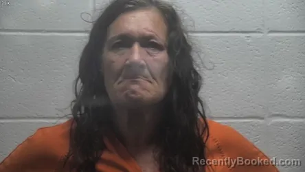 Mugshot of Stella Marie Wilson booked in Jessamine County, Kentucky on August 28, 2026