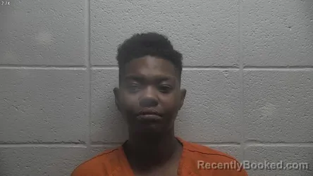 Mugshot of TAYLOR LUCAS booked in Jessamine County, Kentucky on July 1, 2026