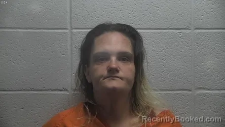 Mugshot of TERI RITCHIE booked in Jessamine County, Kentucky on July 3, 2026