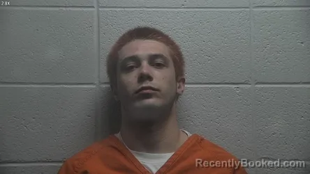 Mugshot of TYLER WEBB booked in Jessamine County, Kentucky on May 8, 2026