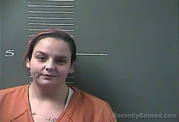Mugshot of BRIDGETT MICHELLE HOPKINS