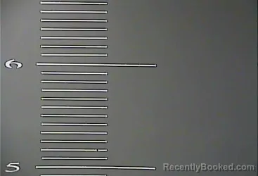 Mugshot of JESSICA RENEE FIELDS