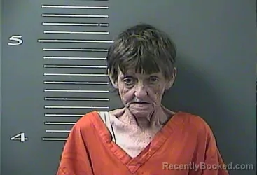 Mugshot of CONNIE ANN ARNETT