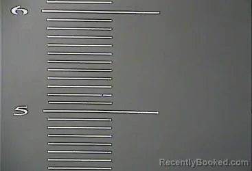 Mugshot of LOLA BOYCE