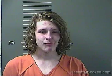 Mugshot of DEVIN WELLS
