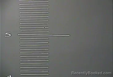 Mugshot of TRAVIS WILEY HALL