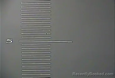 Mugshot of JAMIE NICOLE SLONE-LANEY