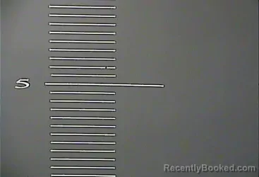 Mugshot of MARY A MOORE booked in Johnson County, Kentucky on March 6, 2026