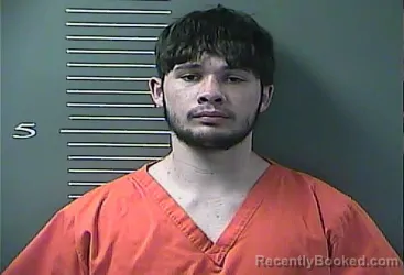 Mugshot of LLOYD ANDREW CLEVE PERKINS booked in Johnson County, Kentucky on March 19, 2026