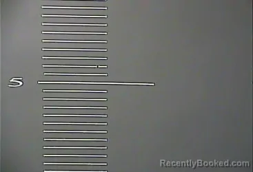 Mugshot of RANDY TAPPEST LEE JUSTICE booked in Johnson County, Kentucky on March 19, 2026