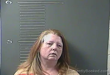 Mugshot of SANDRA L HINKLE-GOBLE booked in Johnson County, Kentucky on March 20, 2026