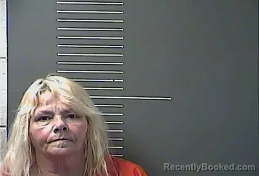 Mugshot of VINA HEATHER MCCORMICK booked in Johnson County, Kentucky on March 24, 2026