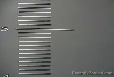 Mugshot of TIFFANY J HORNE booked in Johnson County, Kentucky on March 28, 2026