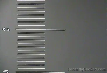 Mugshot of BETTY MAE BURDELL booked in Johnson County, Kentucky on April 1, 2026