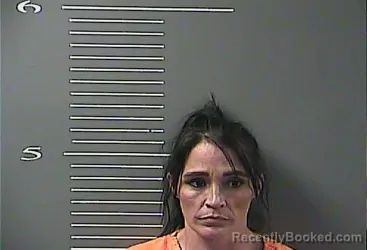 Mugshot of MELINDA DANIEL JOHNSON booked in Johnson County, Kentucky on April 2, 2026