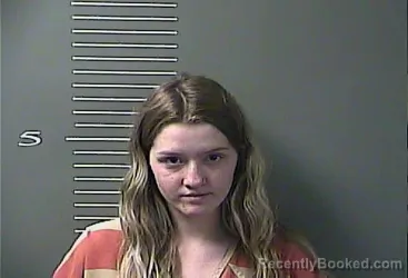 Mugshot of ASHLEY N MAYNARD booked in Johnson County, Kentucky on May 13, 2026