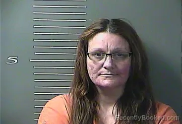 Mugshot of JESSICA RENEE FIELDS booked in Johnson County, Kentucky on June 12, 2026
