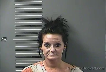 Mugshot of MISTY LYNN COLLINS