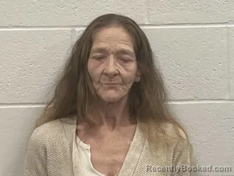 Mugshot of ANN MARGARET MCINTYRE