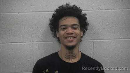 Mugshot of RAYSHAWN LAMONT JOHNSON