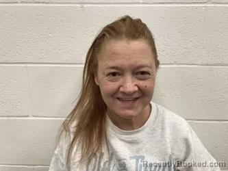 Mugshot of MARY JENA-LYNN ALLEN