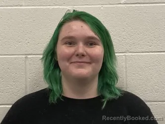 Mugshot of AMBER NICOLE BRADLEY