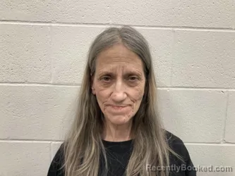 Mugshot of DANA VICTORIA BOYER