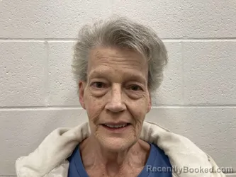 Mugshot of JEANA ELAINE JONES