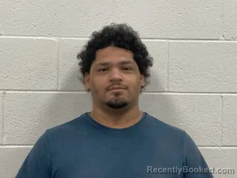 Mugshot of RONNY YOEL HERRERA