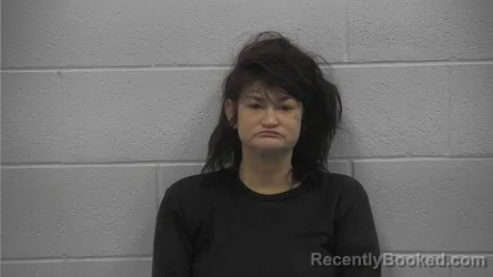 Mugshot of HEATHER NICOLE COOK