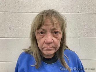 Mugshot of TERESA CARLENE REDMAN