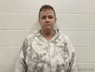 Mugshot of LISA MARIE SMITH