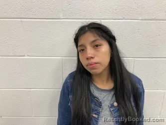 Mugshot of MARLENY ALILIAN DOMINGO CASTANON