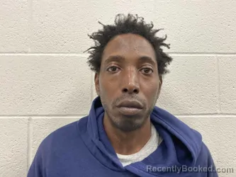Mugshot of SHERON LAVELLE STEWART