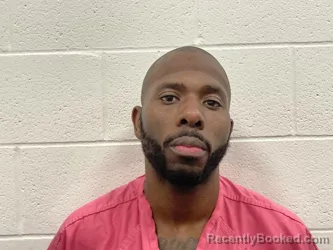 Mugshot of SIDNEY ROCHELL SPANN