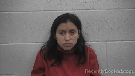 Mugshot of VANESSA NMI DOMINGO