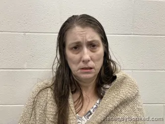 Mugshot of NOEL ANGELIQUE HICKS