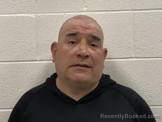 Mugshot of DAVID MICHEAL FISCHER