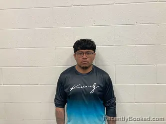 Mugshot of FERNANDO LUIS MARTINEZ