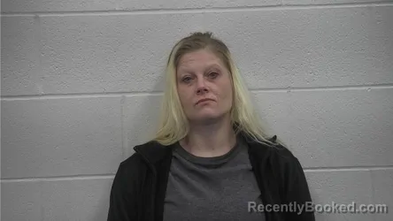 Mugshot of ALICIA MICHELLE PIERCEFIELD