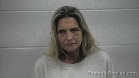 Mugshot of LISA MARIE ILES