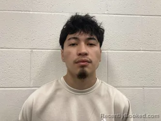 Mugshot of EDWIN OMAR NMI GABARRETE GOMES