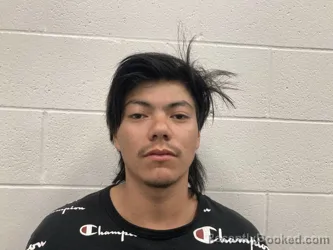 Mugshot of MISAEL NMI SAENZ DIAZ
