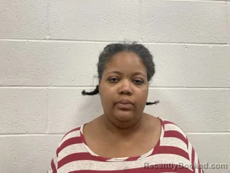 Mugshot of CRYSTAL MARIE NORRIS