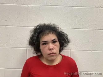 Mugshot of DAVITA NICOLE EVANS